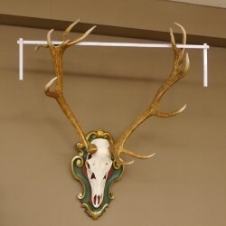 Rothirsch ungerader 14 ender Höhe 117 cm Hirschgeweih Hirsch Barockschild grün gold