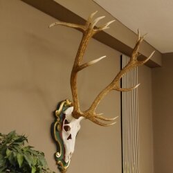 Rothirsch ungerader 14 ender Höhe 117 cm Hirschgeweih Hirsch Barockschild grün gold