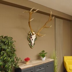 Rothirsch ungerader 14 ender Höhe 117 cm Hirschgeweih Hirsch Barockschild grün gold