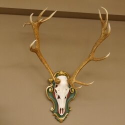 Rothirsch ungerader 14 ender Höhe 117 cm Hirschgeweih Hirsch Barockschild grün gold