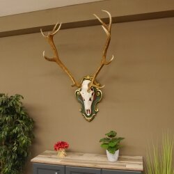 Rothirsch ungerader 14 ender Höhe 117 cm Hirschgeweih Hirsch Barockschild grün gold