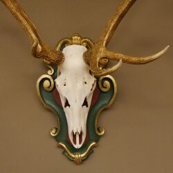 Rothirsch ungerader 14 ender Höhe 117 cm Hirschgeweih Hirsch Barockschild grün gold