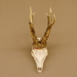 Rehgeweih Rehbock Gewicht 451 g Bock Reh Geweih Gehörn 610.134