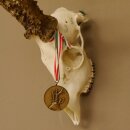 Rehgeweih + Medaille Rehbock Gewicht 435 g Bock Reh Geweih Gehörn