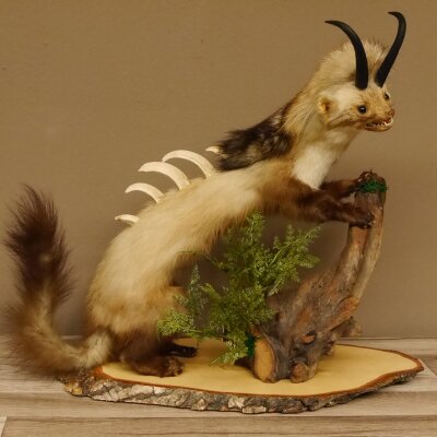 Wolpertinger Martre Wolpi Préparation Tubes de chamois Armes de sanglier Bouclier en bouleau Préparation sur pied Hauteur 48 cm