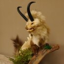 Wolpertinger Martre Wolpi Préparation Tubes de chamois Armes de sanglier Bouclier en bouleau Préparation sur pied Hauteur 48 cm