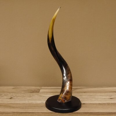 1 Stück Kudu Aussenhorn glanzpoliert Mini auf Ständersockel H 38 cm 80.20.5.3