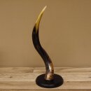 1 Stück Kudu Aussenhorn glanzpoliert Mini auf Ständersockel H 38 cm 80.20.5.3
