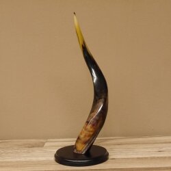 1 Stück Kudu Aussenhorn glanzpoliert Mini auf Ständersockel H 38 cm 80.20.5.3