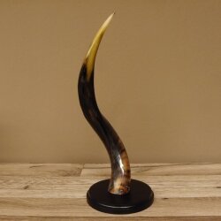 1 Stück Kudu Aussenhorn glanzpoliert Mini auf Ständersockel H 38 cm 80.20.5.3