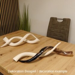 1 pezzo di corno interno di kudu lucidato a specchio, piccolo, nuovo, lunghezza 58 cm 80.20.4.11