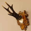 Rehgeweih 6 er kapitaler Rehbock Gewicht 330 g Bock Reh Geweih Gehörn Trophäenschild