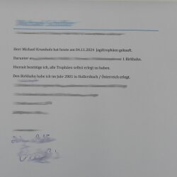 Birkhahn Hahn Ganzpräparat Präparat Höhe 45 cm mit Herkunftsnachweis 90.2.16