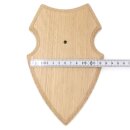 3 stuks wapenschild AF 19 x 12 cm ree schild trofee schild met 1 kaakvak in licht eikenhoornklem
