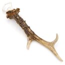 Décapsuleur en bois de cerf Décapsuleur en...