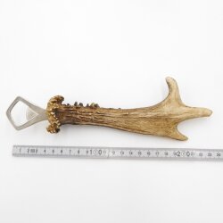Bottle opener deer antler opener deer antler horn shedding antler length 24 cm 27.1.465