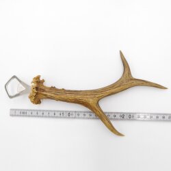 Flaschenöffner Rehstange Öffner Reh Geweih Stange Horn Abwurfstange Länge 27 cm 27.1.468