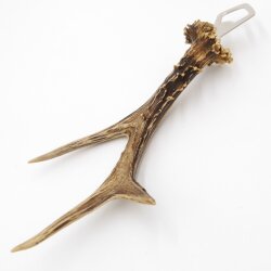 Flaschenöffner Rehstange Öffner Reh Geweih Stange Horn Abwurfstange Länge 27 cm 27.1.469
