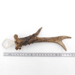 Flaschenöffner Rehstange Öffner Reh Geweih Stange Horn Abwurfstange Länge 25 cm 27.1.471