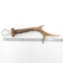 Bottle opener deer antler opener deer antler horn...