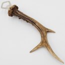 Apribottiglie con corna di capriolo Apribottiglie con corna di capriolo Lunghezza 29 cm 27.1.472