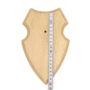 5 scudi araldici AF 19 x 12 cm Scudo con capriolo Scudi trofeo in quercia con 5 ganci per corna chiari Nuovi