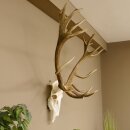 Rothirschgeweih unger. 18 ender Höhe 101 cm Stangen Hirschgeweih Hirsch 70.974