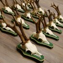 17 stuks reebokgeweien Reebokken Reebok Geweien op barokke schilden 22.1198