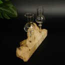 Schnapsanbieter kleine 2 Gläser mit Stiel auf Wurzel Steckglas Set Schnaps Geschenk Neu 27.60.1.52