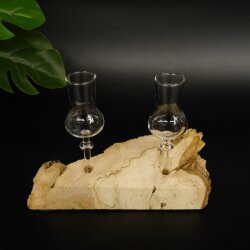 Schnapsanbieter kleine 2 Gläser mit Stiel auf Wurzel Steckglas Set Schnaps Geschenk Neu 27.60.1.52