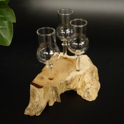 Schnapsanbieter kleine 3 Gläser mit Stiel auf Wurzel Steckglas Set Schnaps Geschenk Neu 27.60.1.57