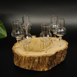 Schnapsanbieter kleine 6 Gläser mit Stiel auf Wurzel Steckglas Set Schnaps Geschenk Neu 27.60.1.64