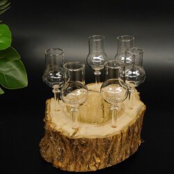 Schnapsanbieter kleine 6 Gläser mit Stiel auf Wurzel Steckglas Set Schnaps Geschenk Neu 27.60.1.64