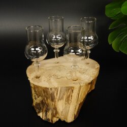 Schnapsanbieter kleine 4 Gläser mit Stiel auf Wurzel Steckglas Set Schnaps Geschenk Neu 27.60.1.67