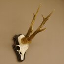 Roe buck "Mörderbock" (murderer buck) HL...