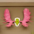 Elk enorm groot gewei (breedte 163 cm) roze groen schedel...