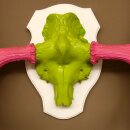 Alce con corna enormi (larghezza 163 cm) rosa verde Trofeo di cranio su supporto bianco Corna di alce