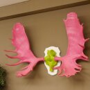 Elk enorm groot gewei (breedte 163 cm) roze groen schedel...