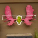 Alce con corna enormi (larghezza 163 cm) rosa verde Trofeo di cranio su supporto bianco Corna di alce