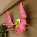 Alce con corna enormi (larghezza 163 cm) rosa verde Trofeo di cranio su supporto bianco Corna di alce