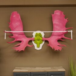 Alce con corna enormi (larghezza 163 cm) rosa verde Trofeo di cranio su supporto bianco Corna di alce