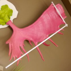 Alce con corna enormi (larghezza 163 cm) rosa verde Trofeo di cranio su supporto bianco Corna di alce