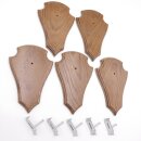 Trophäenschilder Reh 5 Stück Spitz AF 21 cm x 13 cm Eiche braun + Montageklammer GTKv50.84-5+K