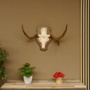 Elandenhoorn kleine elandenhoorn schedel trofee op...