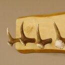 Geweih Garderobe mit 5 Haken aus Hirschspitzen Hirschrose auf Holzbrett Rehgeweih Wandgarderobe Unikat 27.8.96