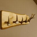 Geweih Garderobe mit 5 Haken aus Hirschspitzen Hirschrose auf Holzbrett Rehgeweih Wandgarderobe Unikat 27.8.96