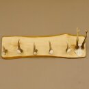 Geweih Garderobe mit 5 Haken aus Hirschspitzen Hirschrose auf Holzbrett Rehgeweih Wandgarderobe Unikat 27.8.96