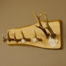 Geweih Garderobe mit 5 Haken aus Hirschspitzen Hirschrose auf Holzbrett Rehgeweih Wandgarderobe Unikat 27.8.96