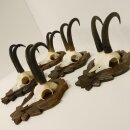 5 pieces of chamois antlers on trophy boards SL max. 22...