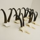 7 Stück Gamsgeweihe Gemse Geweihe Schlauchlänge max. 23,8 cm 47.181